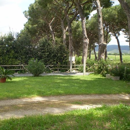 Agriturismo Ternova Alberese Luaran gambar