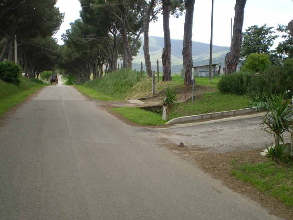 Agriturismo Ternova Alberese Luaran gambar
